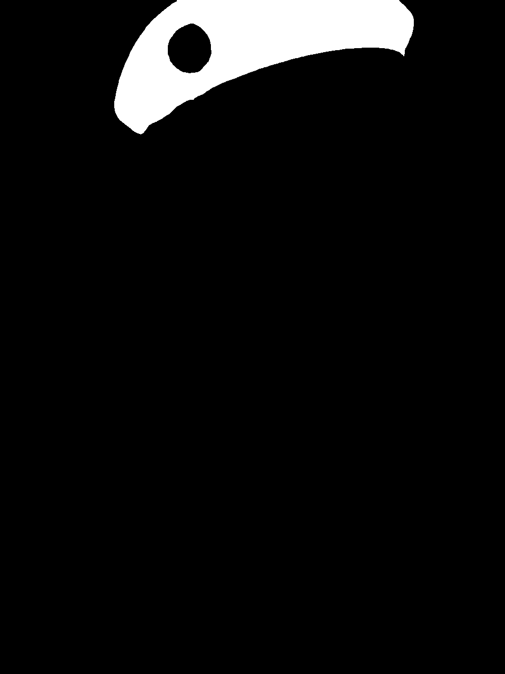 segment_anything_result_3_5